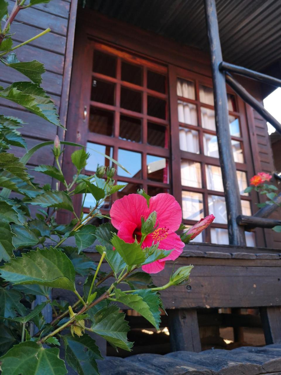 The Guesthouse Vanderbijlpark Eksteriør bilde